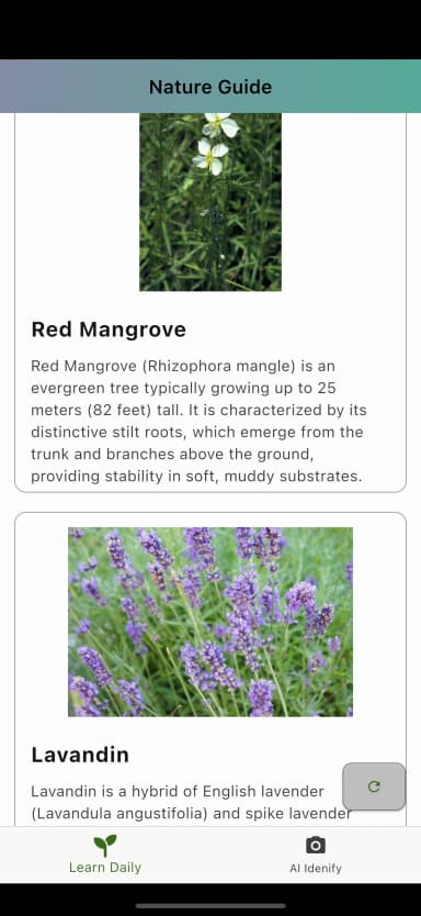 Plant identification in action